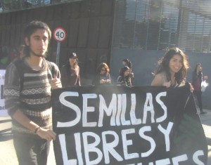 semillas_libres_y_sin_patentes_jpg