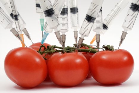 genetically-modified-food