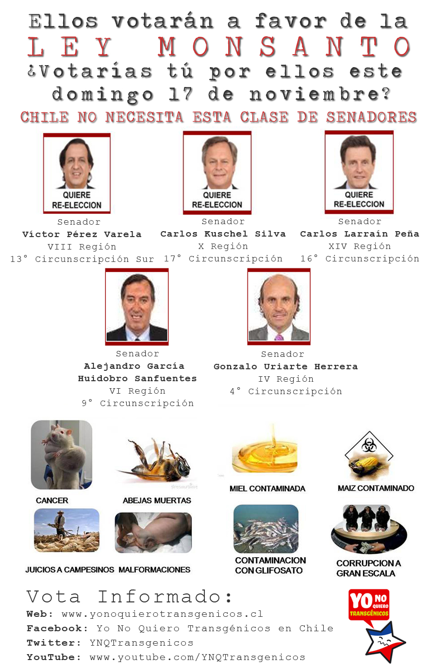 SENADORES_Reeleccion